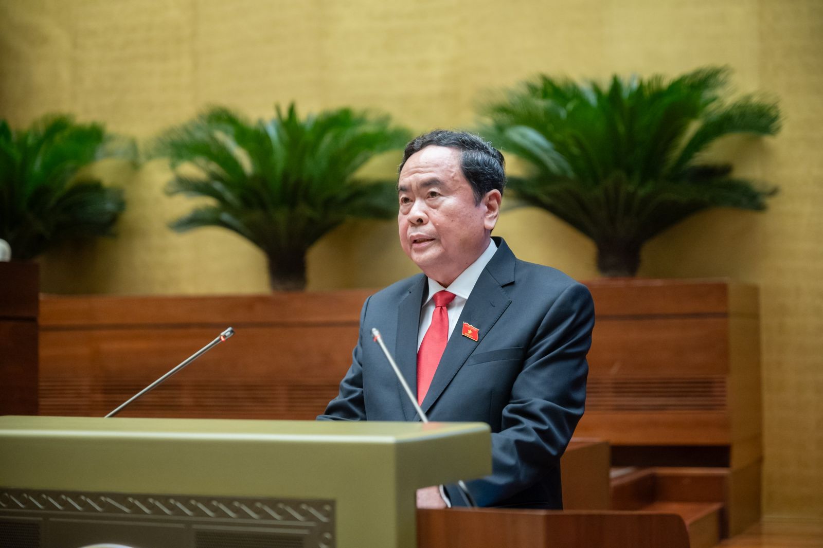 Toàn văn phát biểu nhậm chức của Chủ tịch Quốc Trần Thanh Mẫn