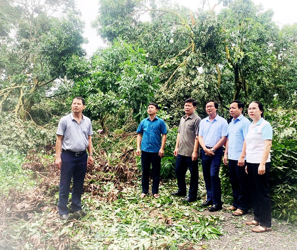 Đồng chí Trần Quốc Toản, Phó Bí thư Thường trực Tỉnh ủy, Chủ tịch HĐND tỉnh kiểm tra công tác khắc phục hậu quả sau bão số 3 tại huyện Phù Cừ