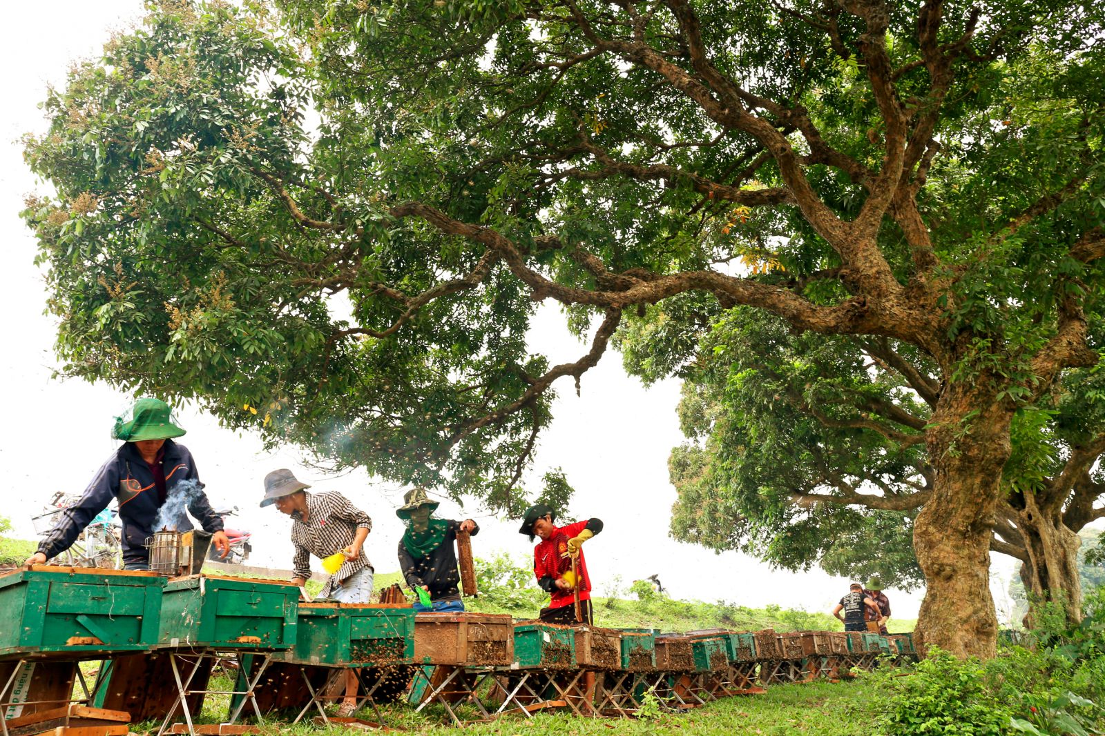 Đất và người Hưng Yên (Tác giả:  ảnh Bằng Cao)