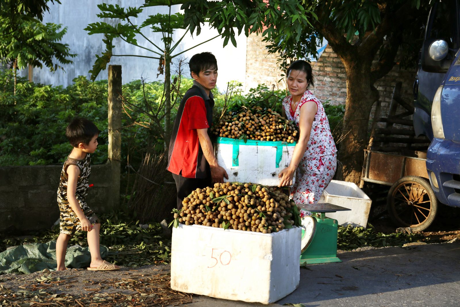 Đất và người Hưng Yên (Tác giả: ảnh Bằng Cao)