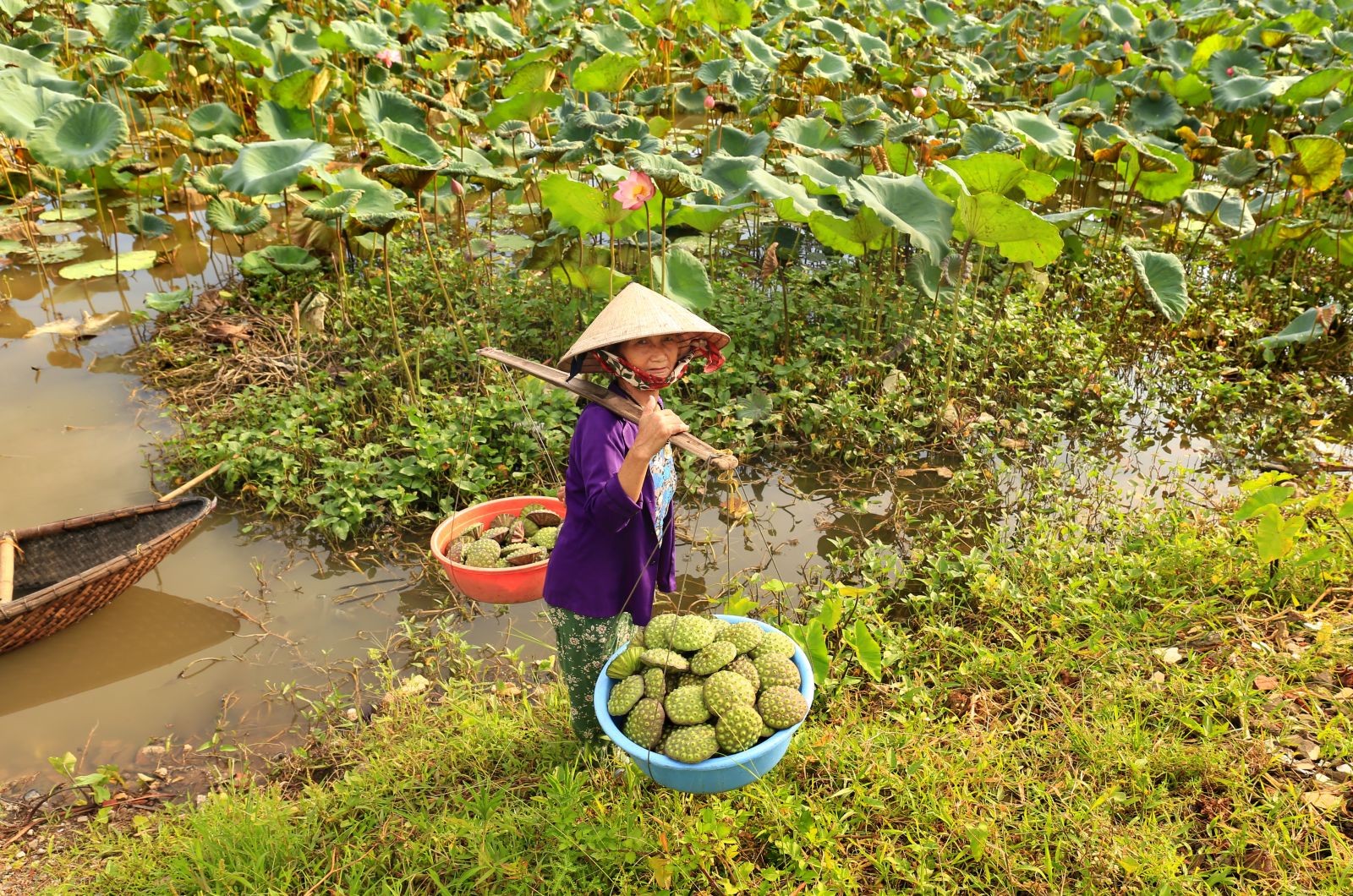 Đất và người Hưng Yên (Tác giả:  ảnh Bằng Cao)