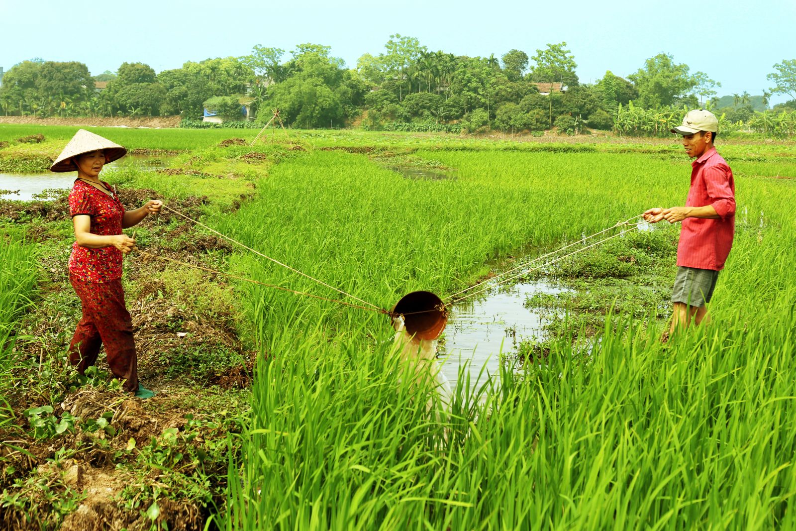 Đất và người Hưng Yên (Tác giả:  ảnh Bằng Cao)