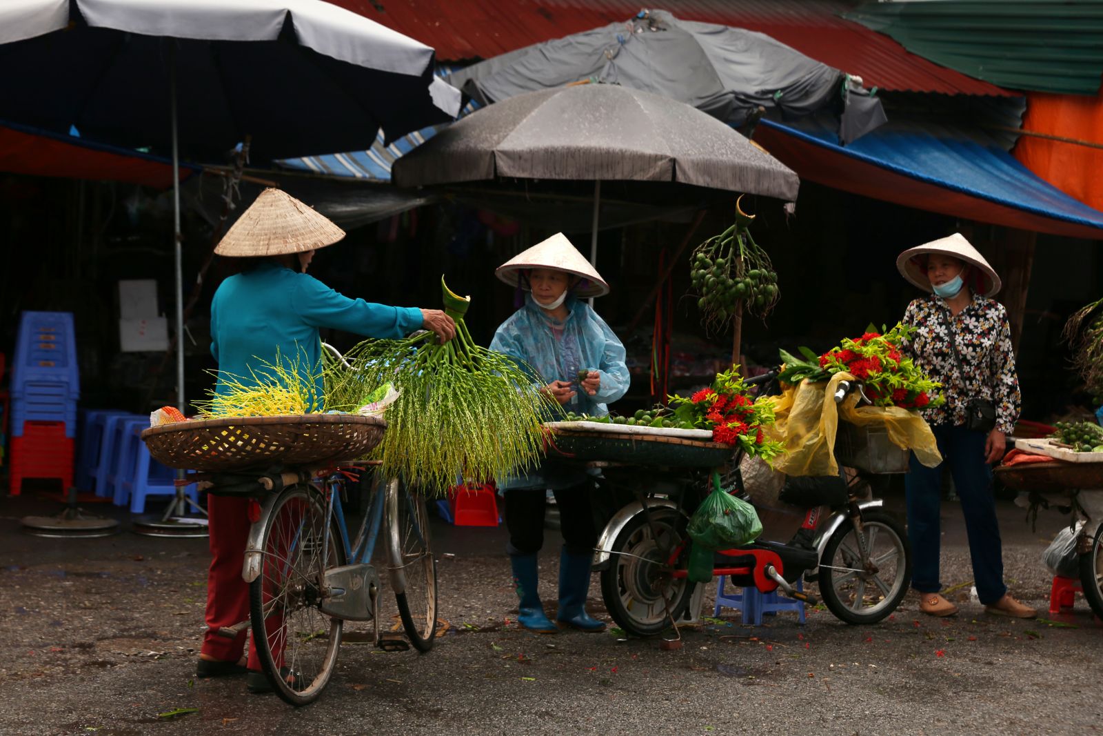 Đất và người Hưng Yên (Tác giả:  ảnh Bằng Cao)