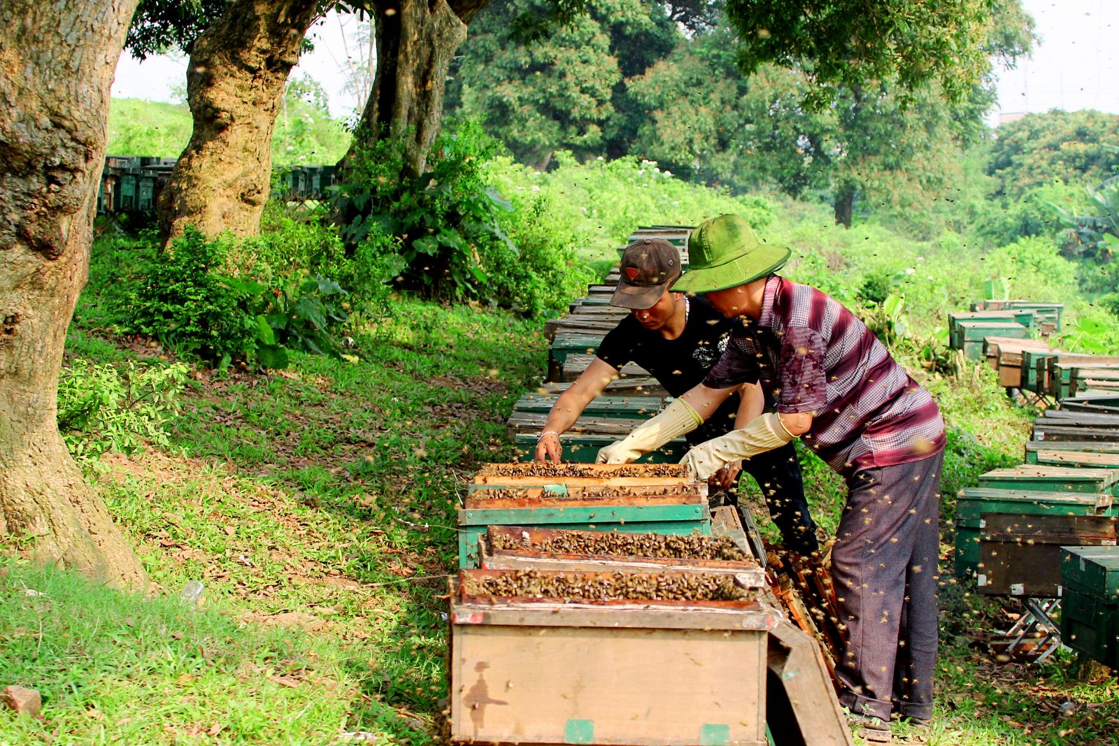 Đất và người Hưng Yên (Tác giả: ảnh Bằng Cao)